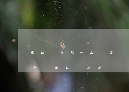 微粒貸逾期一次還清額度恢復嗎怎么辦，如何解決微粒貸逾期問題：逾期一次后額度能否恢復？